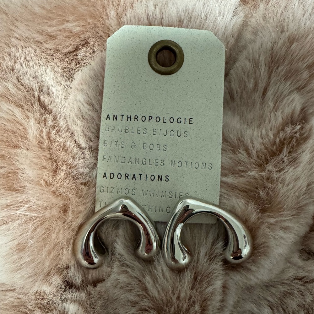 Anthropologie Silver Curved Earrings